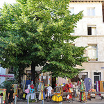 Arbres à Avignon  par Huiling Chang - Avignon 84000 Vaucluse Provence France