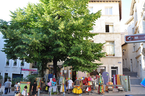 Arbres à Avignon  by Huiling Chang