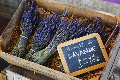 Bouquet de Lavande - Avignon Lavender by 6835