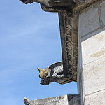 Gargouilles du Palais des Papes by gab113 - Avignon 84000 Vaucluse Provence France