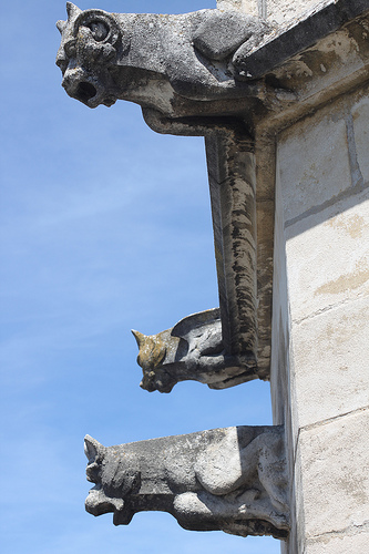 Gargouilles du Palais des Papes par gab113