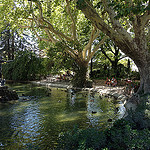 Jardin du rocher des Doms... un petit paradis à découvrir par gab113 - Avignon 84000 Vaucluse Provence France