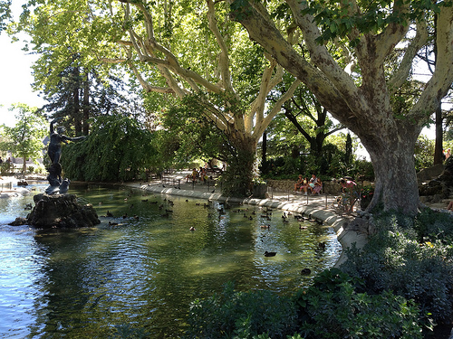 Jardin du rocher des Doms... un petit paradis à découvrir by gab113