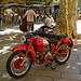 Moto : vieux bolide rouge par Casatigeo - Avignon 84000 Vaucluse Provence France