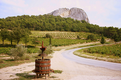 "Beaumes de Venise" Vineyards by Sokleine