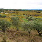 Vue depuis Beaumes de Venise par Toño del Barrio - Beaumes de Venise 84190 Vaucluse Provence France