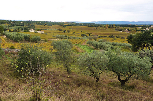 Vue depuis Beaumes de Venise by Toño del Barrio