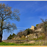 Abandon - Beaumes-de-Venise (84) by Charlottess - Beaumes de Venise 84190 Vaucluse Provence France