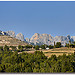 A l'ombre des Dentelles de Montmirail - Beaumes-de-Venise (84) par Charlottess - Beaumes de Venise 84190 Vaucluse Provence France