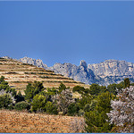 Dentelles de Montmirail - Beaumes-de-Venise (84) par Charlottess - Beaumes de Venise 84190 Vaucluse Provence France