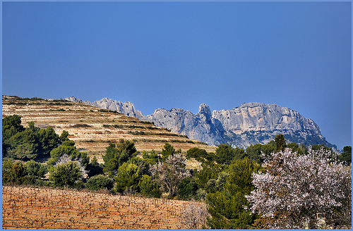 Dentelles de Montmirail - Beaumes-de-Venise (84) par Charlottess