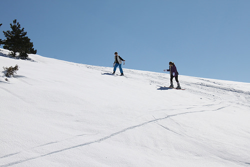 Ski sur les pistes autour du Chalet Reynard par gab113