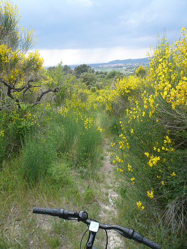 Randonnée à Vélo au milieu des genets by gab113