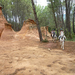 Demoiselles coiffées de Bedoin par gab113 - Bédoin 84410 Vaucluse Provence France