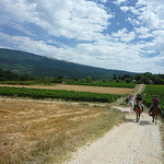 Ballade à Cheval au pied du Mont-Ventoux par gab113 - Bédoin 84410 Vaucluse Provence France