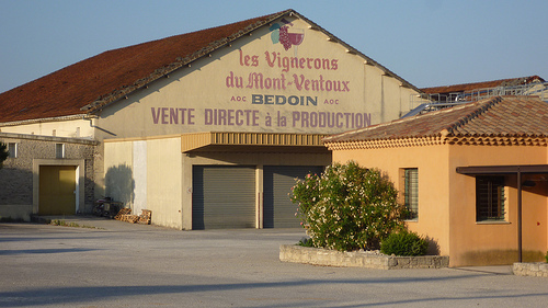 Les vignerons du Mont-Ventoux by gab113