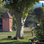 Invitation to relaxation par Sokleine - Bédoin 84410 Vaucluse Provence France