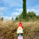 Little dwarf (Nain de Jardin) lost somewhere in Provence par Sokleine - Bédoin 84410 Vaucluse Provence France