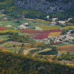 Vignoble en Automne par Toño del Barrio - Bédoin 84410 Vaucluse Provence France