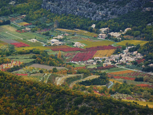 Vignoble en Automne by Toño del Barrio