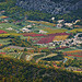 Vignoble en Automne by Toño del Barrio - Bédoin 84410 Vaucluse Provence France