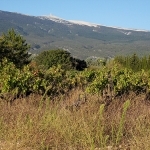 Le Mont Ventoux vu de Bédoin by voyageur85 - Bédoin 84410 Vaucluse Provence France