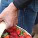 Panier de Fraises - Marché de Bedoin par gab113 - Bédoin 84410 Vaucluse Provence France