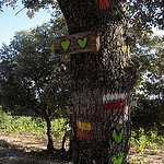 Hiking 2 Heart trail around Bédoin par Sokleine - Bédoin 84410 Vaucluse Provence France