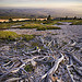 Roots by David BOUSCARLE - Bédoin 84410 Vaucluse Provence France