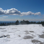 Le Ventoux enneigé - ballade au Chalet Reynard by gab113 - Bédoin 84410 Vaucluse Provence France