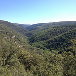 Le désert vert des Gorges de la Nesque par gab113 - Blauvac 84570 Vaucluse Provence France