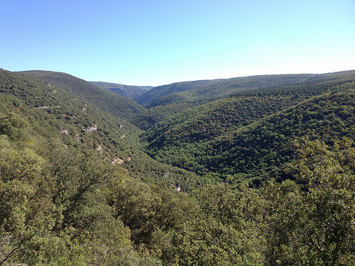 Le désert vert des Gorges de la Nesque par gab113