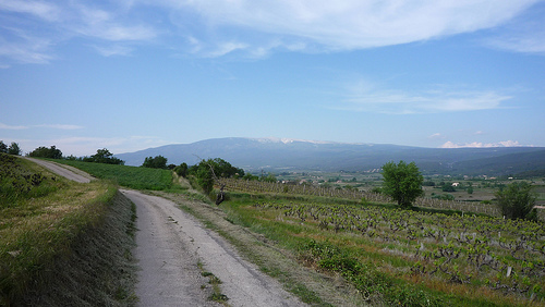 Mont-Ventoux by gab113