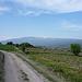 Mont-Ventoux par gab113 - Blauvac 84570 Vaucluse Provence France