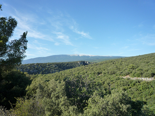 Mont-Ventoux par gab113