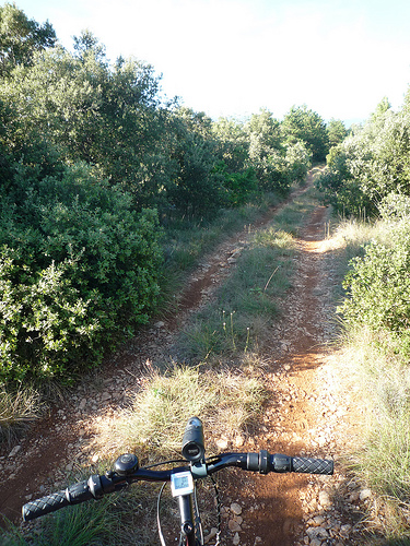 Balade à Vélo sur les chemins du Mont Ventoux by gab113