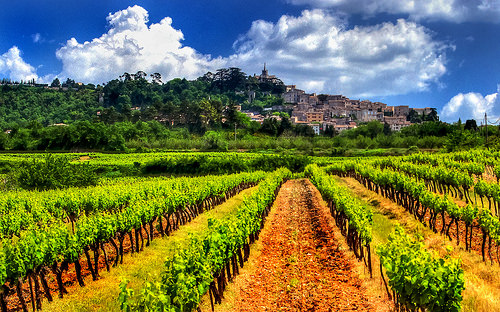 Bonnieux HDR - vignes en contre bas par fiatluxca