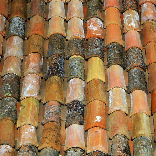 Provencal rooftiles by perseverando