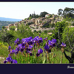 Bonnieux - Printemps dans le Luberon par myvalleylil1 - Bonnieux 84480 Vaucluse Provence France