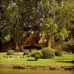 Vignoble - Château La Canorgue par YourDarlinClementine - Bonnieux 84480 Vaucluse Provence France