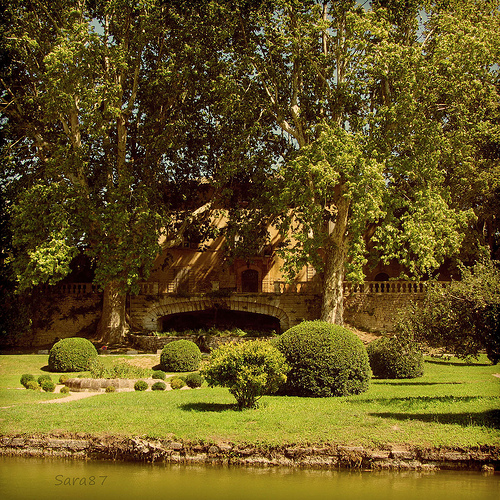 Vignoble - Château La Canorgue by YourDarlinClementine