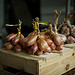 Bonnieux Market : oignon et échalotte par Ann McLeod Images - Bonnieux 84480 Vaucluse Provence France