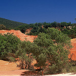 Colorado Provençal à Bouvène : entre désert jungle by wanderingYew2 -   Vaucluse Provence France