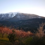 Le Mont-Ventoux enneigé by france pierre26 - Brantes 84390 Vaucluse Provence France