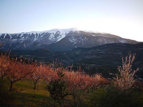 Le Mont-Ventoux enneigé by france pierre26