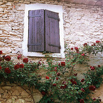 Provence Buoux Auberge Window and Roses par wanderingYew2 - Buoux 84480 Vaucluse Provence France