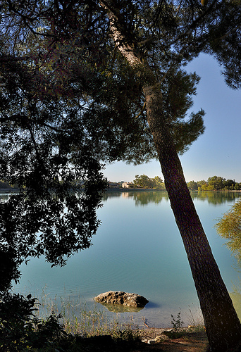 Etang de la Bonde par Charlottess