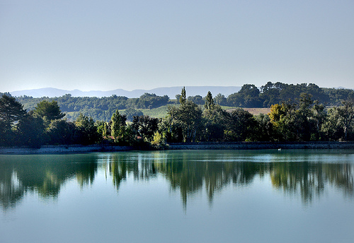 Rivage - Etang de la Bonde by Charlottess