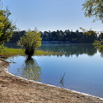  Dans l'eau - Etang de la Bonde par Charlottess - Cabrieres d'Aigues 84240 Vaucluse Provence France