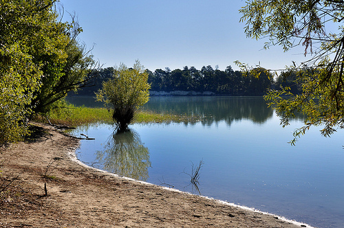  Dans l'eau - Etang de la Bonde par Charlottess